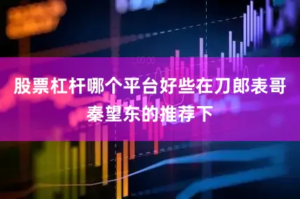 股票杠杆哪个平台好些在刀郎表哥秦望东的推荐下