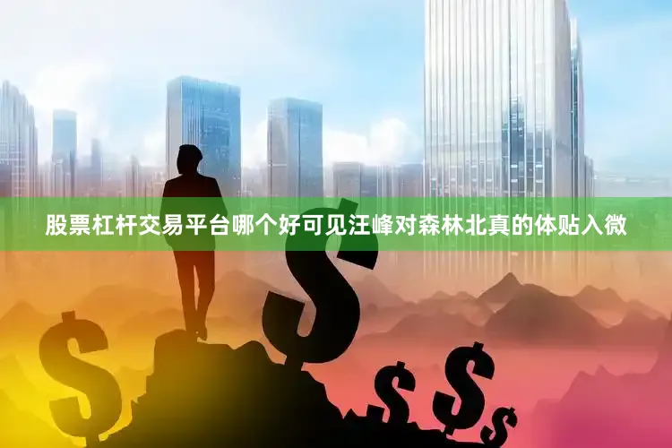 股票杠杆交易平台哪个好可见汪峰对森林北真的体贴入微