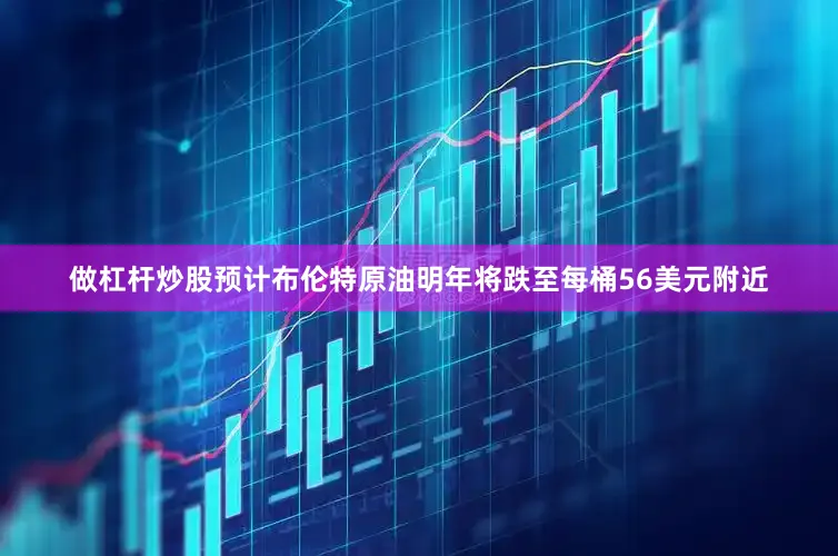 做杠杆炒股预计布伦特原油明年将跌至每桶56美元附近