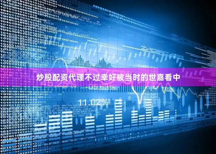 炒股配资代理不过幸好被当时的世嘉看中