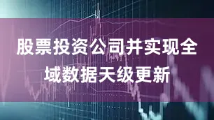 股票投资公司并实现全域数据天级更新