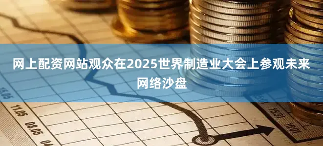 网上配资网站观众在2025世界制造业大会上参观未来网络沙盘